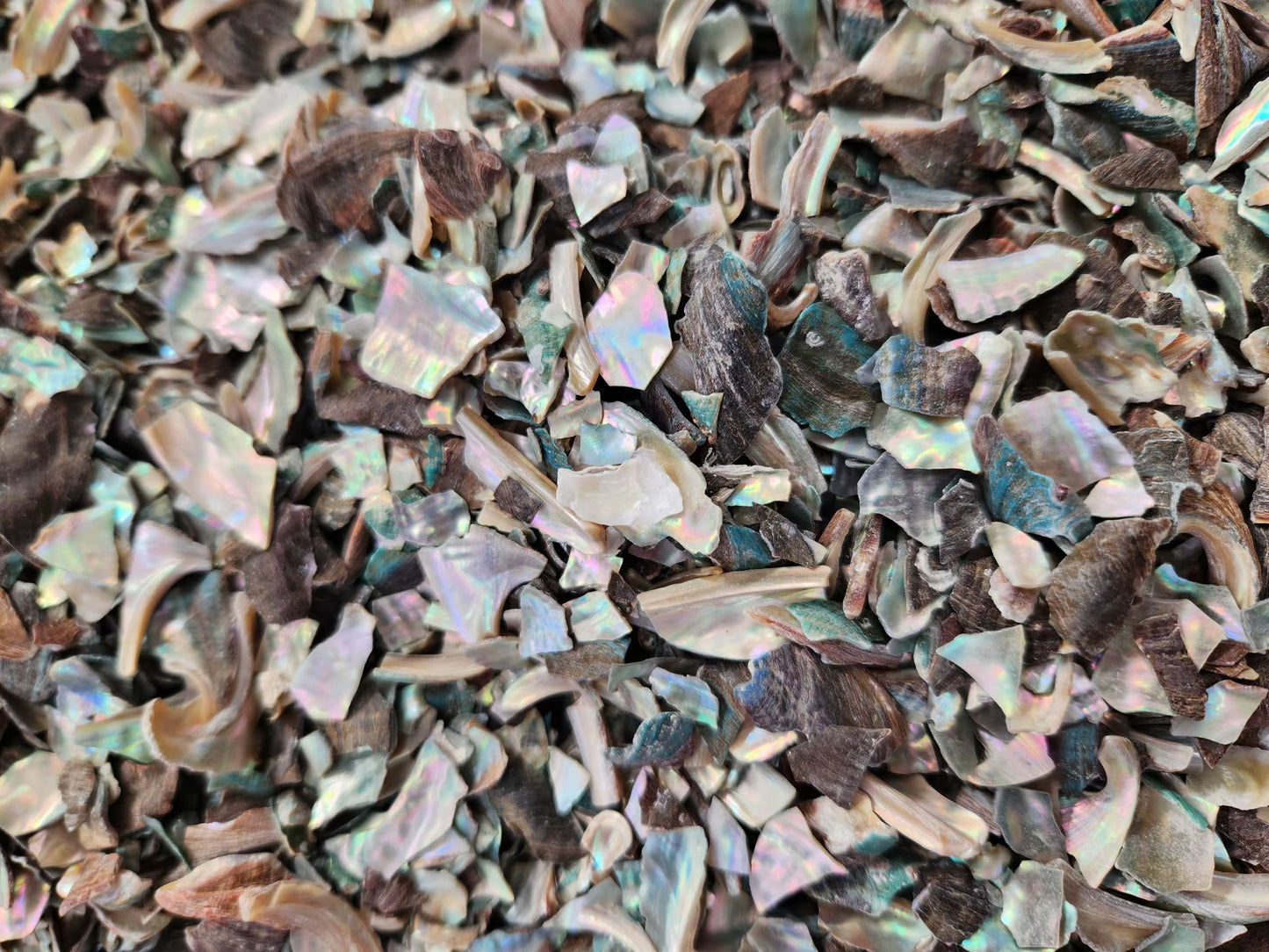 Abalone shell Granules