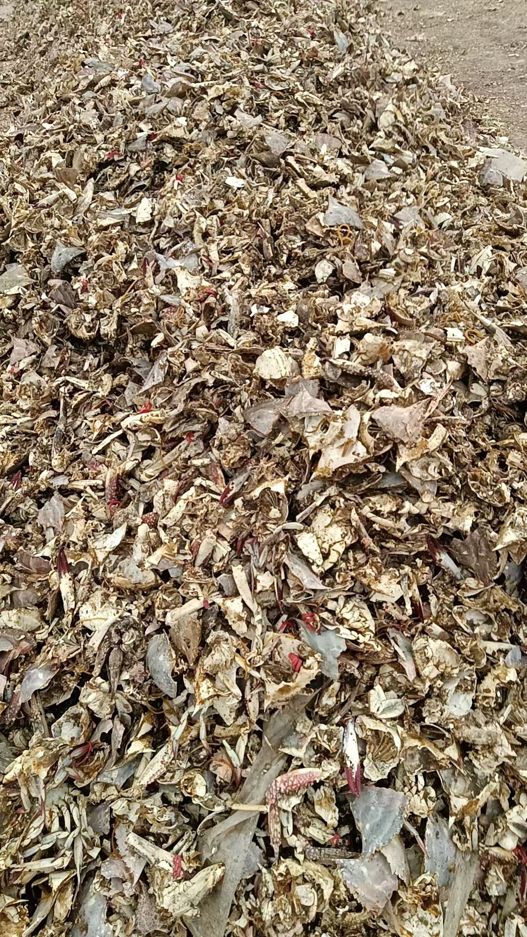 Other shell powder - Crab shell particles
