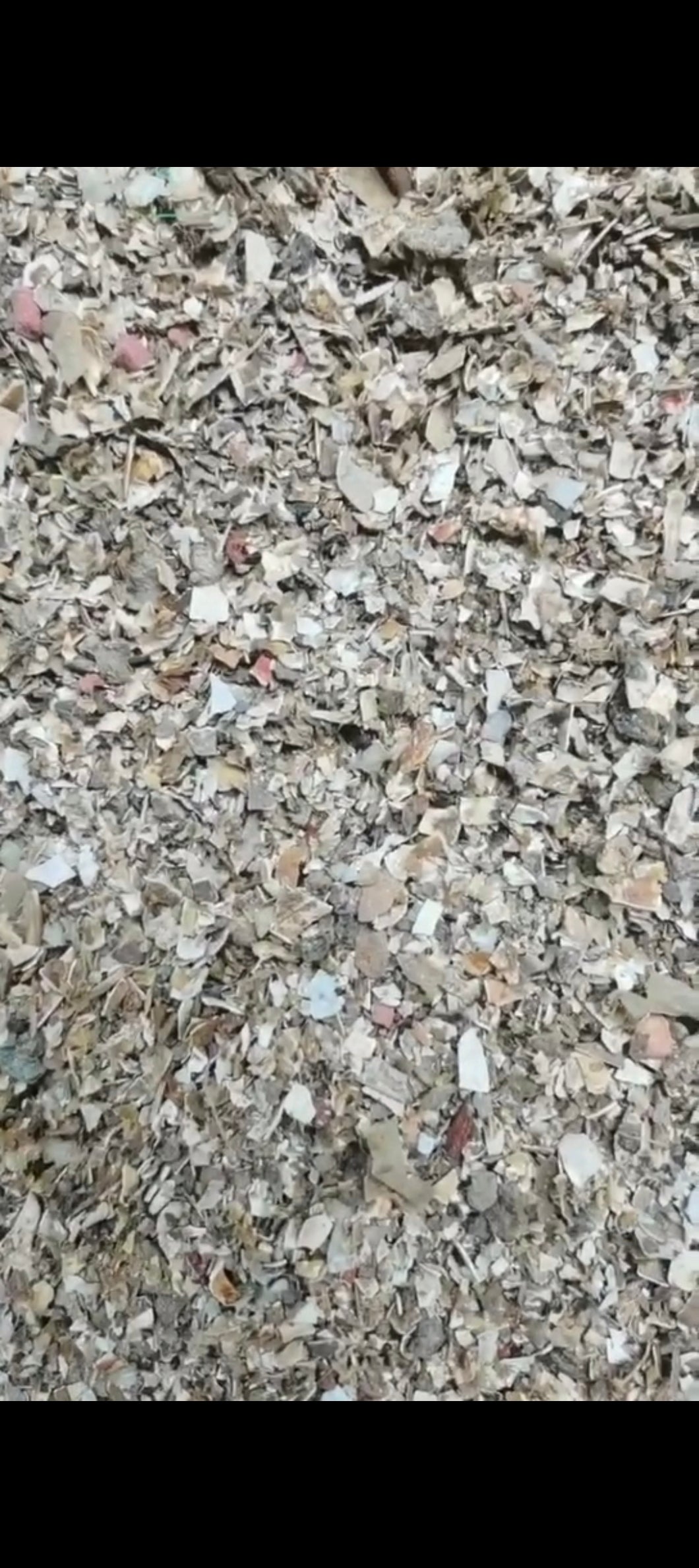 Other shell powder - Crab shell particles