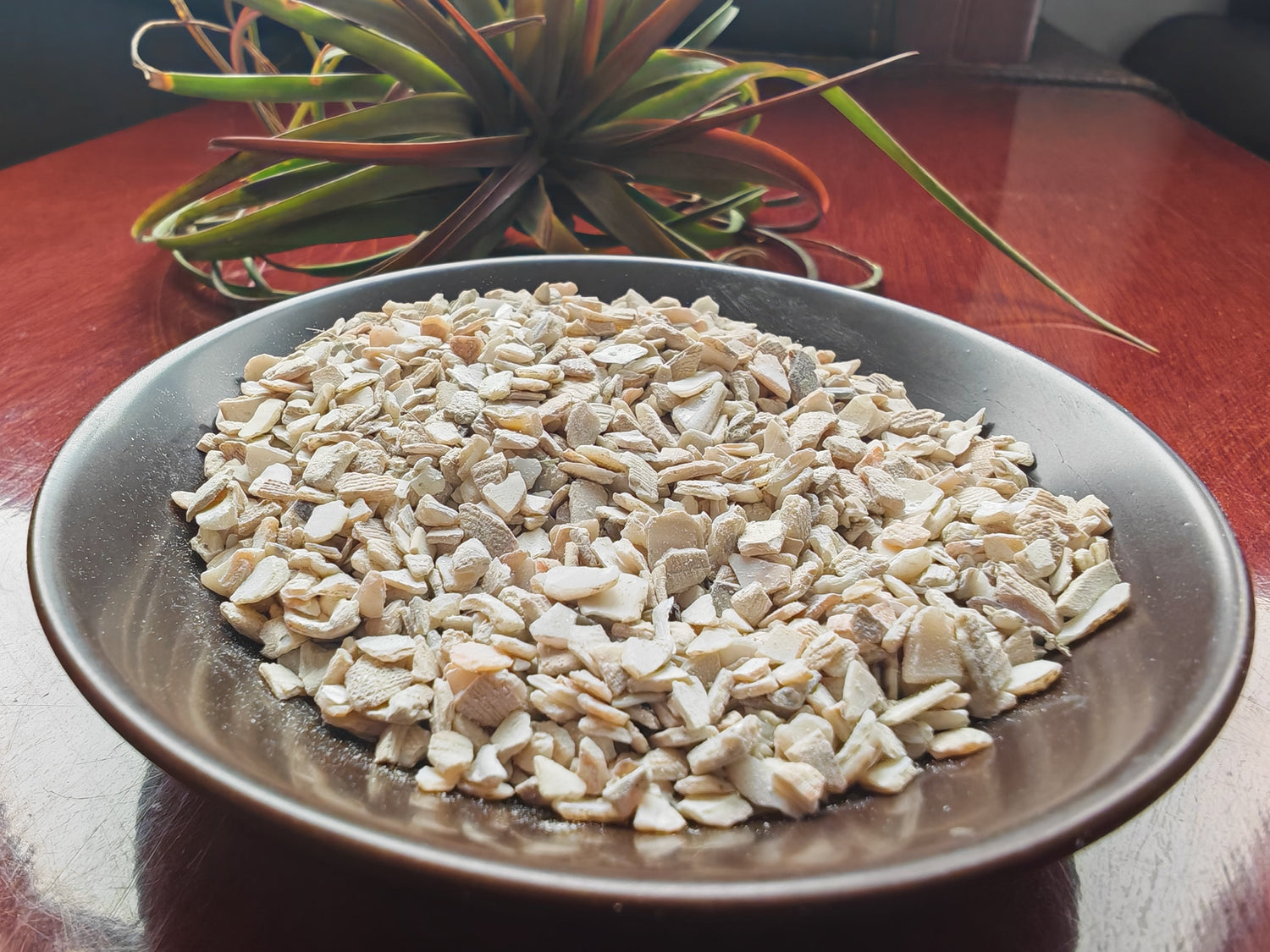 Feed-grade shell particles