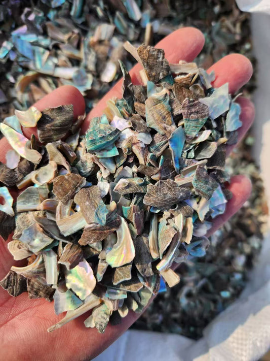 Abalone shell Granules