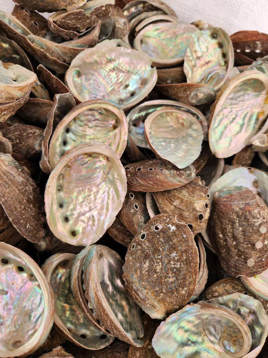 Tray - Abalone shell